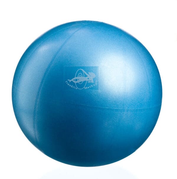 1344 franklin air ball ca 22 cm