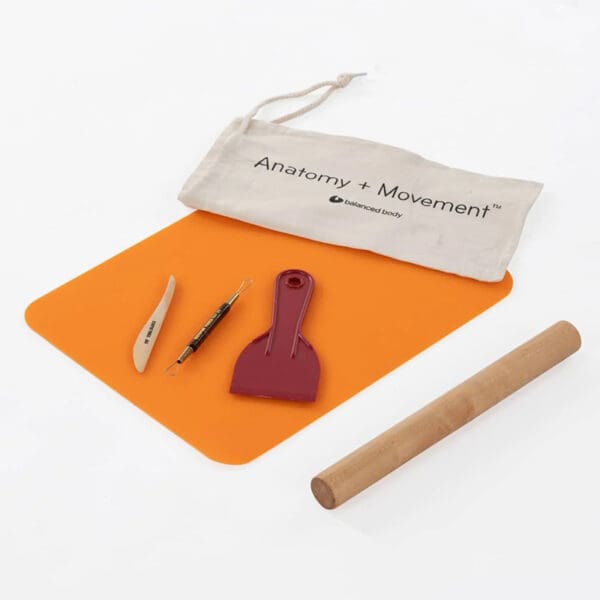 anatomy movement tool kit