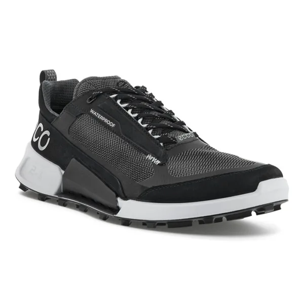 ecco biom 21 X mountain Men black vandresko